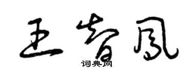 曾慶福王智鳳草書個性簽名怎么寫