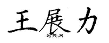 丁謙王展力楷書個性簽名怎么寫