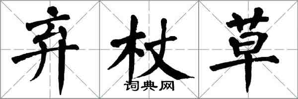 翁闓運棄杖草楷書怎么寫