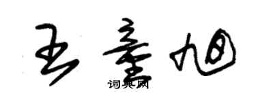 朱錫榮王童旭草書個性簽名怎么寫