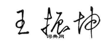 駱恆光王振坤草書個性簽名怎么寫