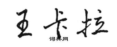 駱恆光王卡拉行書個性簽名怎么寫