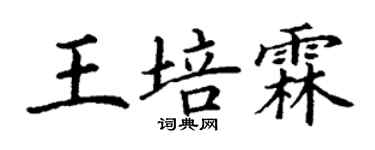 丁謙王培霖楷書個性簽名怎么寫