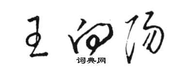 駱恆光王向陽草書個性簽名怎么寫