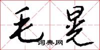 毛晃怎么寫好看