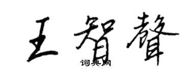 王正良王智聲行書個性簽名怎么寫