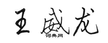 駱恆光王威龍行書個性簽名怎么寫