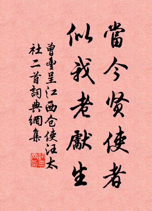 不掛唇皮一句奇，少林冷坐最慈悲 詩詞名句