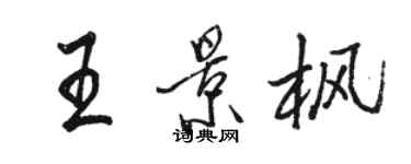 駱恆光王景楓行書個性簽名怎么寫