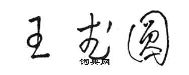駱恆光王武圓草書個性簽名怎么寫