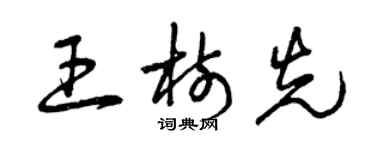 曾慶福王樹先草書個性簽名怎么寫