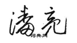 駱恆光潘亮草書個性簽名怎么寫