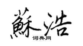 王正良蘇浩行書個性簽名怎么寫