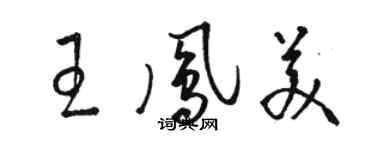 駱恆光王鳳美草書個性簽名怎么寫