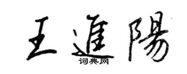 王正良王進陽行書個性簽名怎么寫