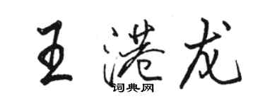 駱恆光王港龍行書個性簽名怎么寫