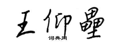 王正良王仰壘行書個性簽名怎么寫