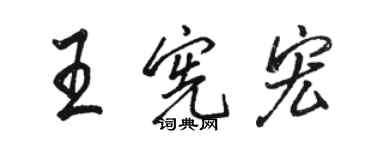 駱恆光王憲宏行書個性簽名怎么寫