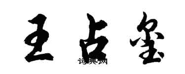 胡問遂王占璽行書個性簽名怎么寫