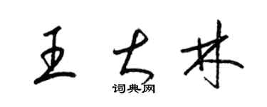 梁錦英王大林草書個性簽名怎么寫