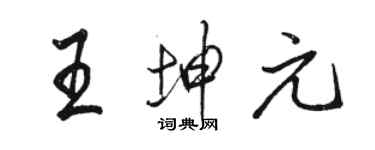 駱恆光王坤元行書個性簽名怎么寫