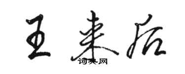 駱恆光王來後行書個性簽名怎么寫