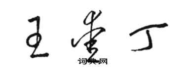 駱恆光王愛丁草書個性簽名怎么寫