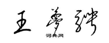 梁錦英王夢騁草書個性簽名怎么寫