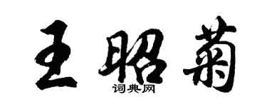 胡問遂王昭菊行書個性簽名怎么寫