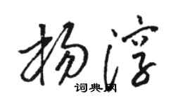 駱恆光楊淳草書個性簽名怎么寫