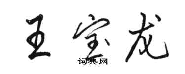 駱恆光王寶龍行書個性簽名怎么寫