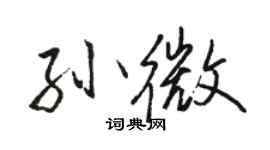 駱恆光孫微行書個性簽名怎么寫