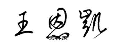 梁錦英王恩凱草書個性簽名怎么寫