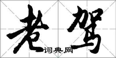 胡問遂老駕行書怎么寫