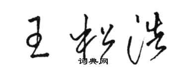 駱恆光王松浩草書個性簽名怎么寫