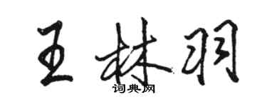 駱恆光王林羽行書個性簽名怎么寫