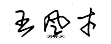 朱錫榮王風才草書個性簽名怎么寫