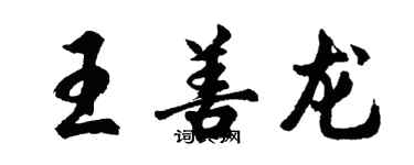 胡問遂王善龍行書個性簽名怎么寫