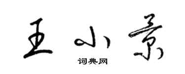 梁錦英王小景草書個性簽名怎么寫