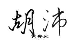 駱恆光胡沛行書個性簽名怎么寫