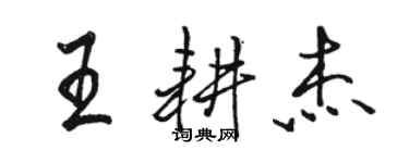 駱恆光王耕傑行書個性簽名怎么寫