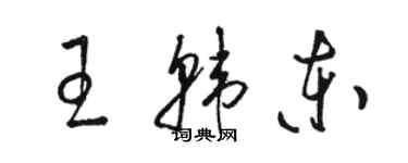 駱恆光王韓東草書個性簽名怎么寫