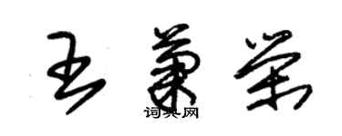 朱錫榮王菊榮草書個性簽名怎么寫