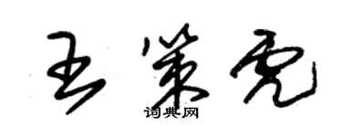 朱錫榮王策虎草書個性簽名怎么寫