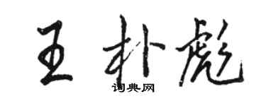 駱恆光王朴彪行書個性簽名怎么寫