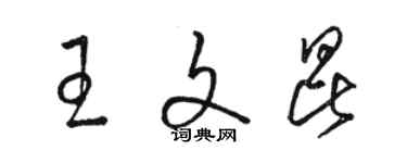 駱恆光王文昆草書個性簽名怎么寫