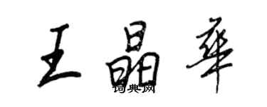 王正良王晶華行書個性簽名怎么寫