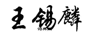 胡問遂王錫麟行書個性簽名怎么寫