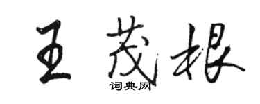 駱恆光王茂根行書個性簽名怎么寫