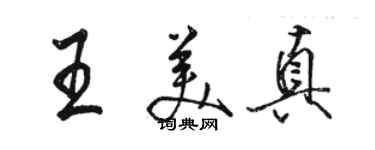 駱恆光王美真行書個性簽名怎么寫